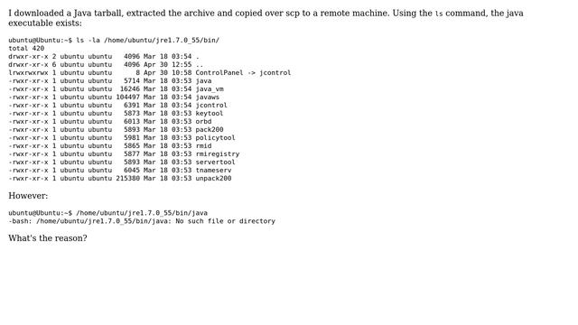 Unix & Linux: A file exists but executing it doesn't work смотреть онлайн