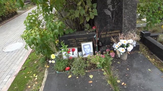 новодевичье кладбище сегодня часть 2 смотреть онлайн