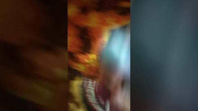 enchantimals морские и солнечная саванна смотреть онлайн