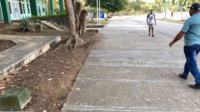video 11 03 20 01 31 1 смотреть онлайн