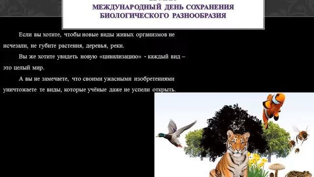 Экологический календарь смотреть онлайн