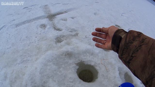 Отличное закрытие сезона по льду / Апрель 2018 / Жерлицы / Поставушки / МаслаковTV смотреть онлайн