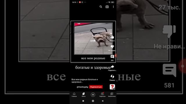 все мои родные богатые здоровые