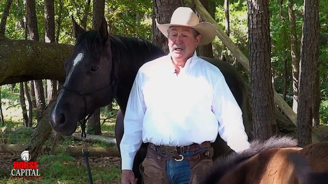 Pat Parelli introduces Magic's Mirror смотреть онлайн