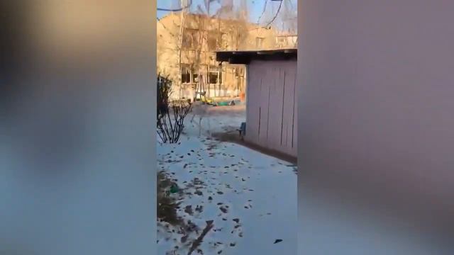 Детский сад №81 Чита, п.КСК смотреть онлайн