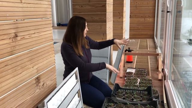 🐞Биопрепараты и чёрная ножка. Пикировка рассады. Ошибки в применении БПреп. Сроки ферментации навоз смотреть онлайн