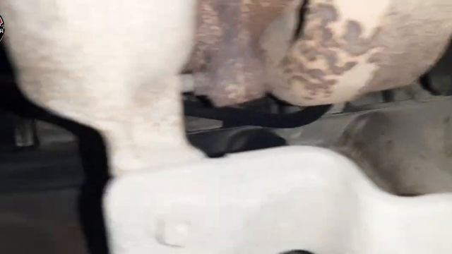 Renault duster1.5 dci pickup low,Dtc df998 upstream sensor issue fix смотреть онлайн