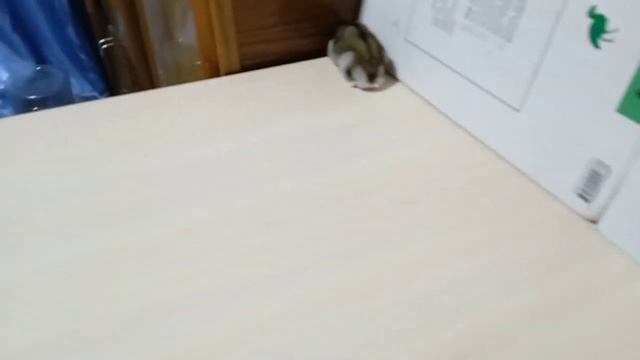 Не уходи со служения!