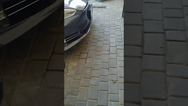 Кавказская овчарка. Команда иди в вольер.