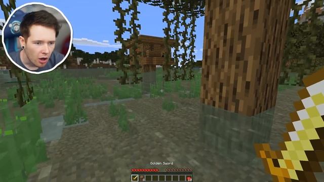 Someone Put SHREK Into Minecraft..