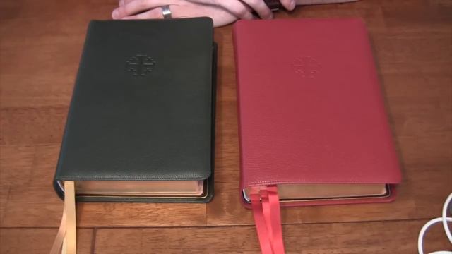 Schuyler Quentel ESV Review - Dark Green & Firebrick Red смотреть онлайн