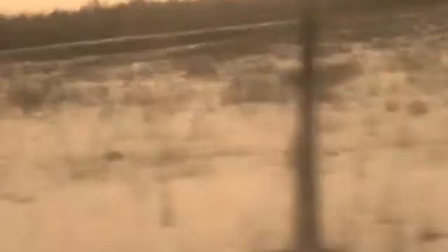 Старая Русса смотреть онлайн