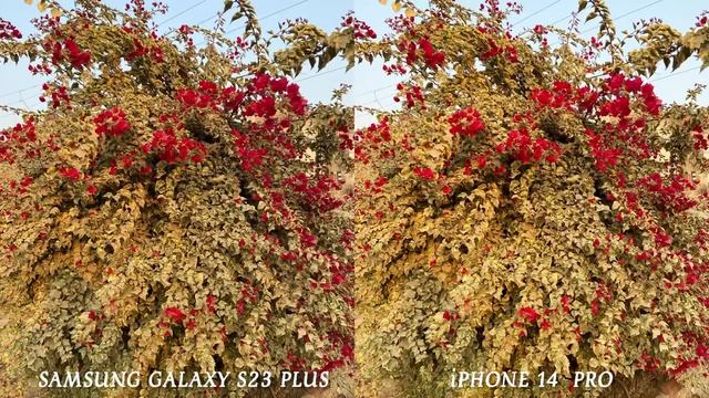 Samsung Galaxy S23 Plus VS iPhone 14 Pro Camera Test Comparison смотреть онлайн