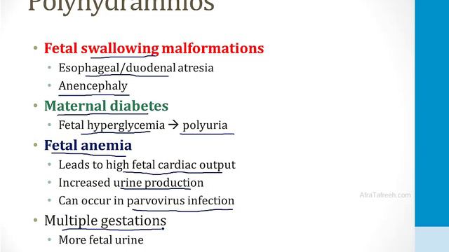 Reproductive - 2. Pregnancy - 5.Maternal-Fetal Disorders Atf