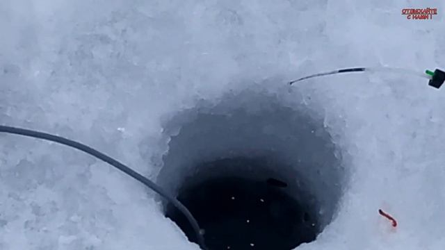 РЫБАЛКА НА РЕКЕ СВИЯГА. Рыба просыпается.