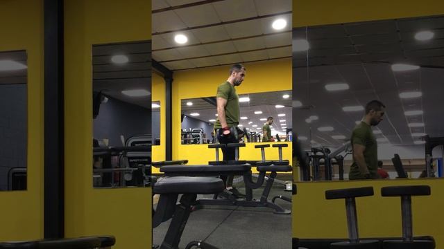 Общий МЦ5 Д4 Подъем гантелей с супинацией стоя, двумя руками одновременно смотреть онлайн