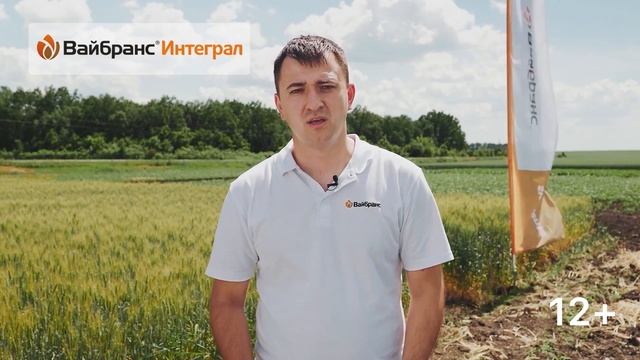 ВАЙБРАНС® ИНТЕГРАЛ — ПРОТРАВИТЕЛЬ ИНСЕКТОФУНГИЦИДНЫЙ смотреть онлайн
