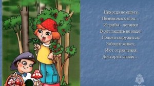 Соблюдайте основные правила сбора грибов