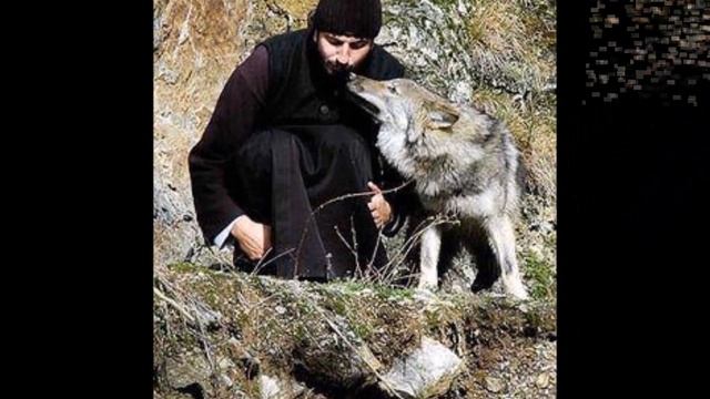 Чистота смотреть онлайн