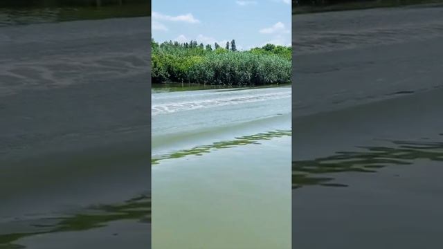 Bandar-e Anzali - Gilan province - IRAN смотреть онлайн