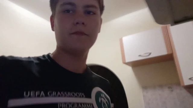 Домашние Животные и Их Уход