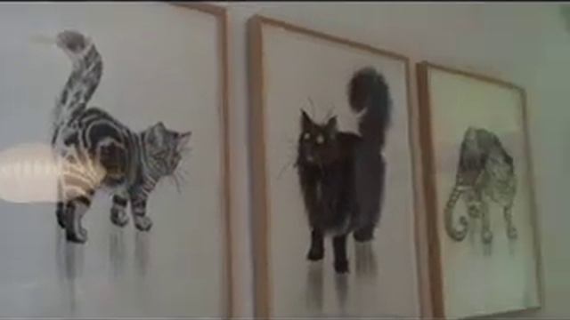 Evolution Revloution: The Innerconnectedness of All Beings смотреть онлайн