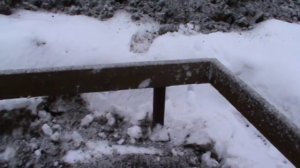 Фундамент под теплицу из поликарбоната.