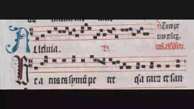 Alleluia Beatus es Cum prosa