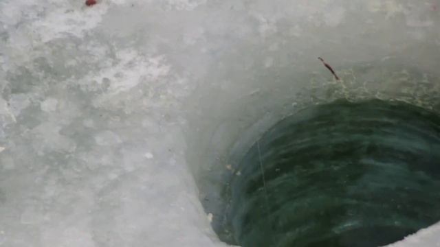 Зимняя рыбалка на Верхнетобольском вдхр. смотреть онлайн