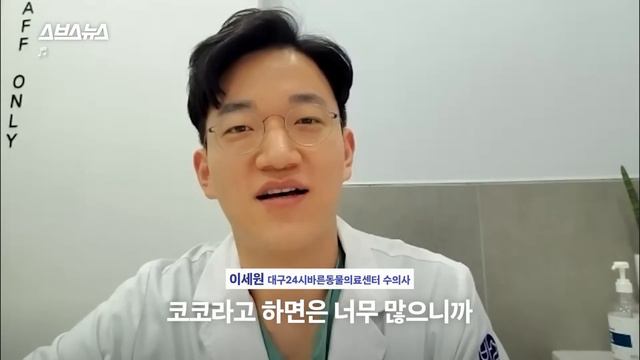 대한민국에 코코만 2만 마리...'코코'가 인기 TOP 이름이 된 이유 / 스브스뉴스 смотреть онлайн