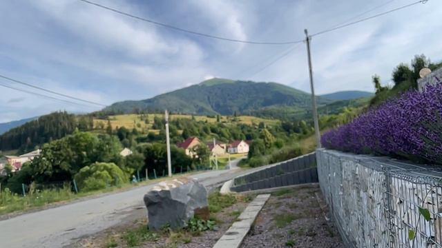 lavender смотреть онлайн