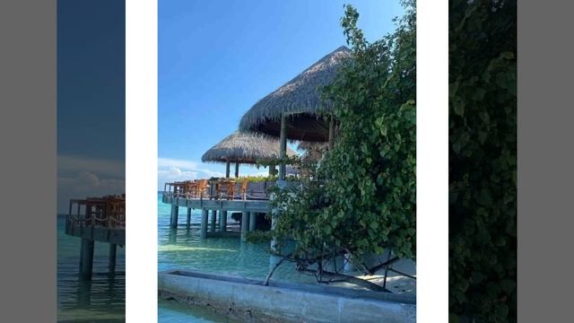 Thomas Anders-YMHYMS смотреть онлайн