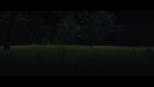 Predators 2010 Yakuza Vs Predator