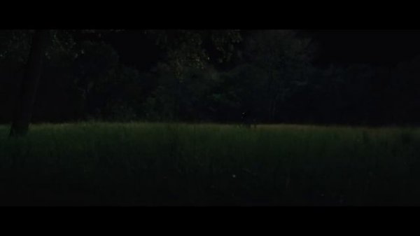 Predators 2010 Yakuza vs Predator