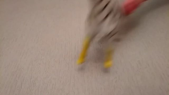 Домашние и дикие животные смотреть онлайн