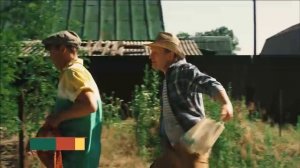 Имидж "Сваты" (Дом кино)