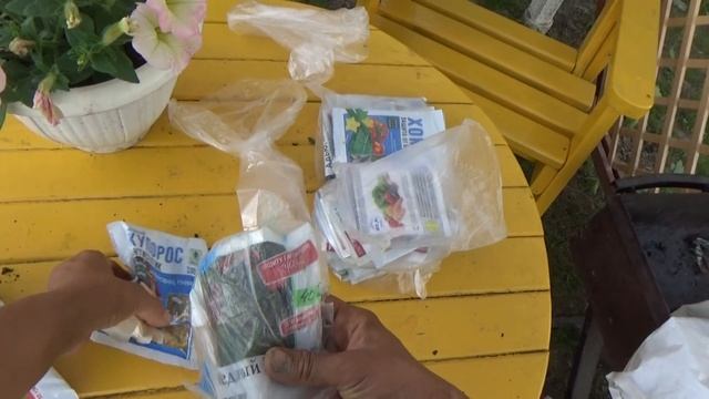 6 соток 18  июня. жара. Удобряю огурцы. 2020 год.