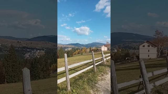 поставьте себе цель #мудрыеслова #жизнь #мотивация #цель #человек #советы #рекомендации смотреть онлайн