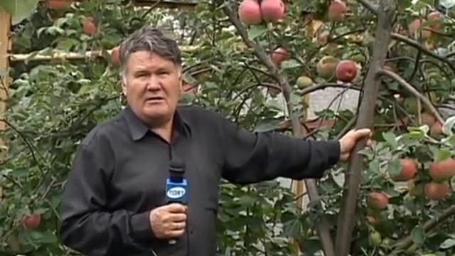 Валерий Панов: О сортах вишни смотреть онлайн