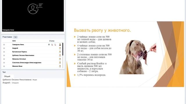 Отравление животных родентицидами. Симптомы. Диагностика. Лечение. смотреть онлайн