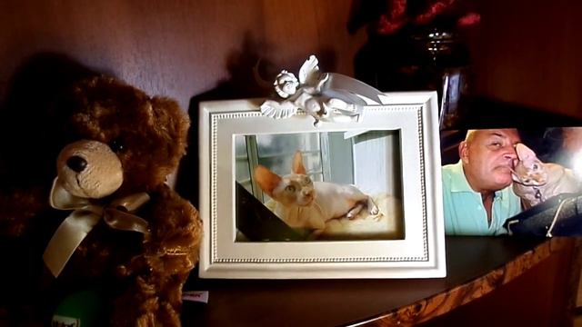 40 ДНЕЙ МОЕЙ КАТЕНЬКЕ(( 09.07.2015 смотреть онлайн