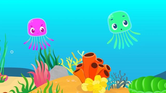 Where is the JELLY FISH? | Jelly & Shelly Adventures | NEW Jelly Time Season 2 смотреть онлайн