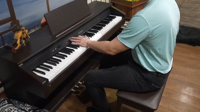 Casio Celviano Ap-250