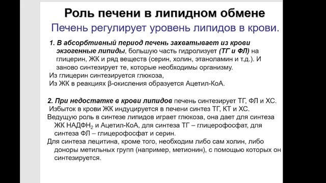 Частная биохимия. Печень. Часть 2.