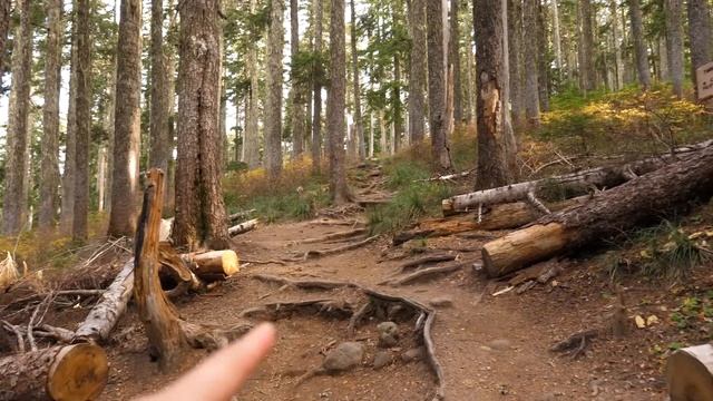 40 Miles Alone on the Timberline Trail смотреть онлайн