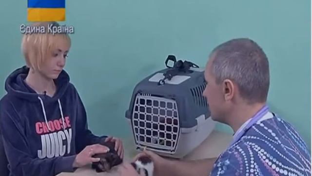 Токсоплазмоз . 17 05 2014 год . смотреть онлайн