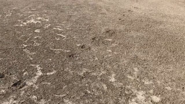 Обмелевшее Павловское водохранилище. смотреть онлайн