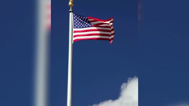 Палыч VS Михалыч