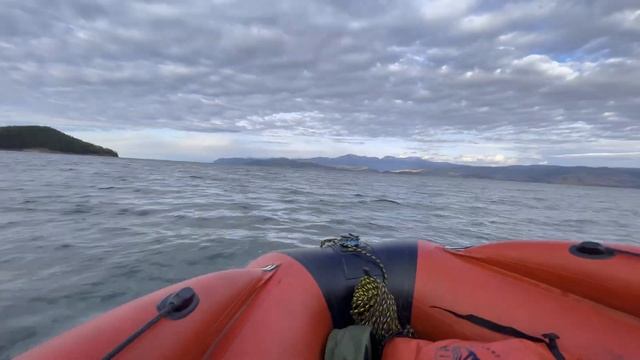 Рыбная Империя