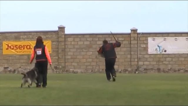 О. Коротина Россия - Иваново н\о Allemandrus Zamb С-70 баллов Одесса-2013г. смотреть онлайн